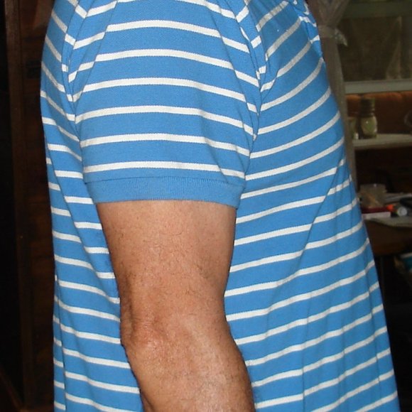 Basic Editions Classic Fit Men's Blue & White Striped Short Sleeve Polo Size LG - Picture 2 of 5